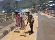 Cooling System, Bhabinkamtibmas Kelurahan Nungga Dukung Ketahanan Pangan, Sambangi Petani