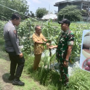 Bersama Danramill Seteluk, Polsek Seteluk Bangun Koordinasi dengan BPP Kecamatan Seteluk