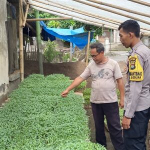 Dukung Asta Cita Presiden, Polres Loteng Ajak Masyarakat Manfaatkan Lahan Pekarangan Untuk Tanam Pangan