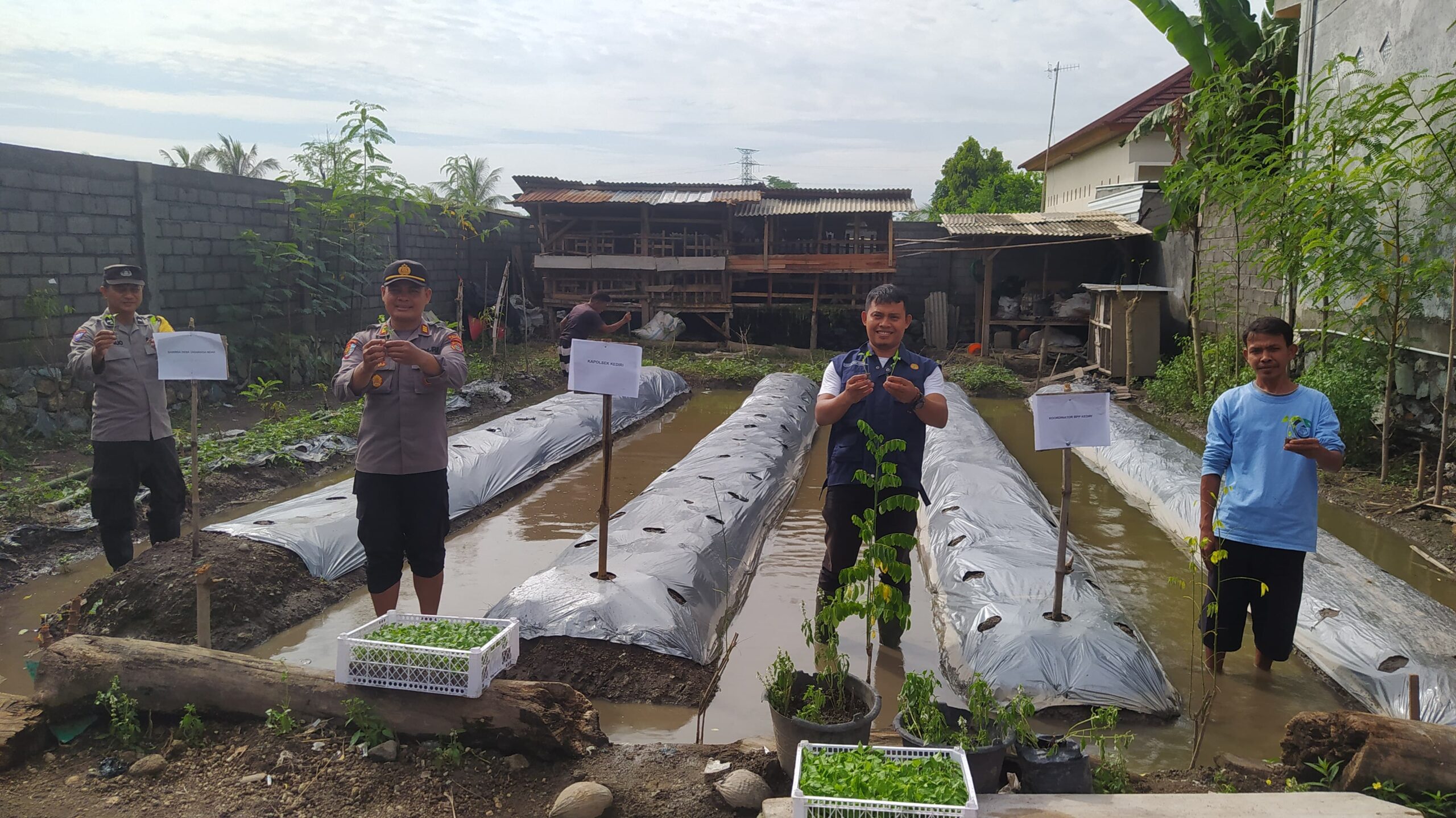 Inisiatif Pangan Bergizi di Desa Jagarga Indah Solusi Ketahanan Pangan yang Berkelanjutan
