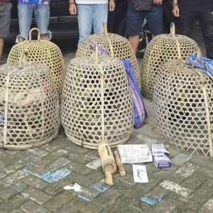 Polisi Gerebek Sabung Ayam di Lombok Barat, Warga Dilibatkan