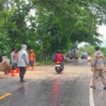 Bhabinkamtibmas Kelurahan Sampir dan BPBD Bersinergi Evakuasi Pohon Tumbang