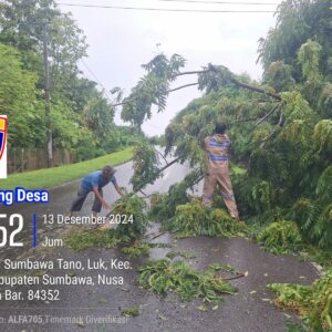 Respon Cepat, Polsek Rhee Bersama Warga Bersihkan Pohon Tumbang Yang Halangi Jalan