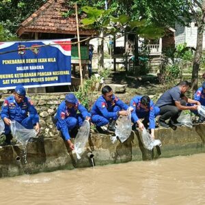 Dukung Program Ke 2 Asta Cita Presiden RI : Satpolairud Polres Dompu Laksanakan Penebaran Bibit Ikan Nila Perdana Di Desa Matua