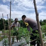 Bhabinkamtibmas Polsek Lambu Dukung Optimalisasi Lahan untuk Ketahanan Pangan Nasional