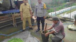 Pestisida Alami, Solusi Hemat dan Sehat untuk Petani Kediri