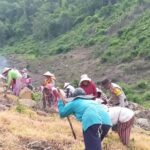 Dukung Program Asta Cita Presiden RI, Bhabinkabtibmas Polres Bima Kota Tanam Jagung dan Ubi untuk Ketahanan Pangan