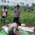 Bhabinkamtibmas Desa Lune Dukung Program Ketahanan Pangan Nasional