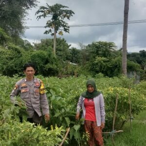 Polri Dukung Ketahanan Pangan: Pemantauan Lahan Pertanian Warga Desa Lune