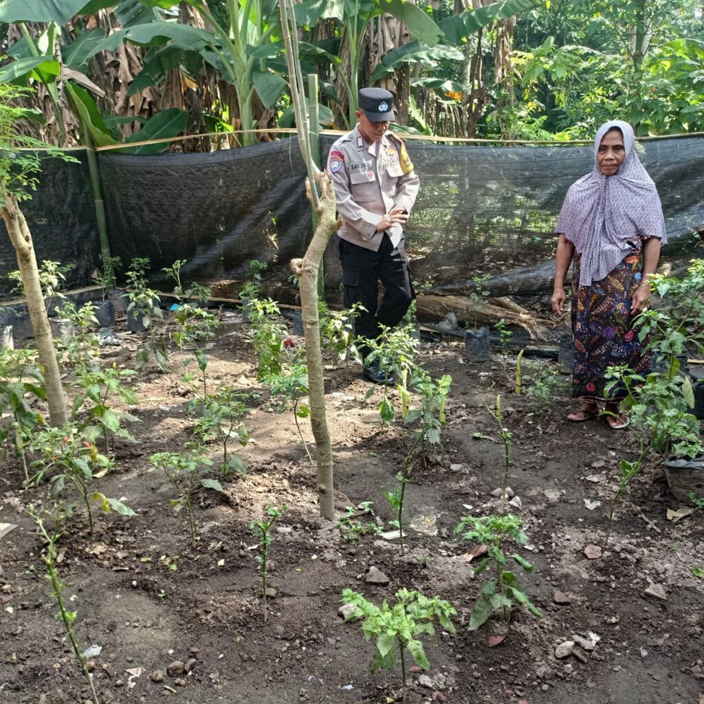 Sinergi Polri dan Masyarakat: Bhabinkamtibmas Babussalam Gerakkan Ketahanan Pangan Lokal