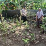 Bhabinkamtibmas Babussalam Aktif Dukung Ketahanan Pangan di Lombok Barat