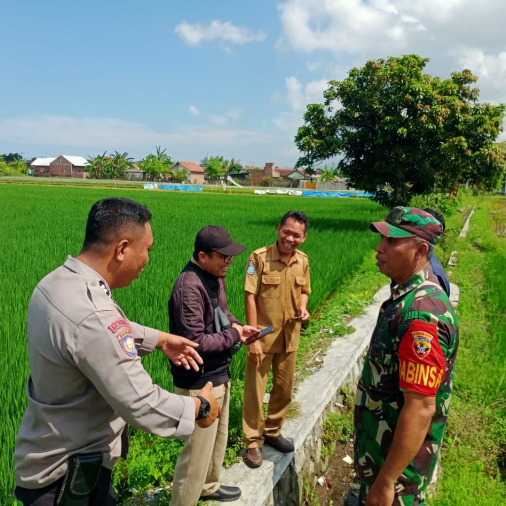 Karang Bongkot Punya Potensi! Lahan Kosong Siap Digarap Petani