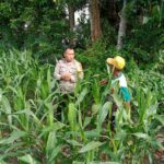 Inspiratif! Bhabinkamtibmas Lombok Barat Ajak Petani Wujudkan Swasembada Pangan