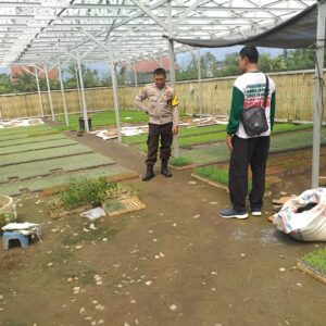 Bhabinkamtibmas Lombok Barat Ajak Warga Manfaatkan Lahan Pekarangan untuk Ketahanan Pangan