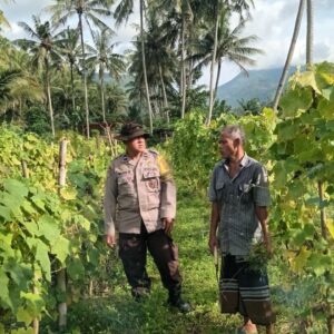 Bhabinkamtibmas Batulayar Pantau Lahan Pekarangan Gizi, Warga Antusias!