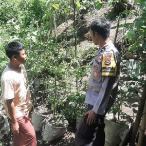 Bhabinkamtibmas Dukung Pekarangan Bergizi, Warga Bengkaung Antusias!