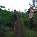 Bhabinkamtibmas Dukung Ketahanan Pangan, Petani Lombok Barat Antusias!