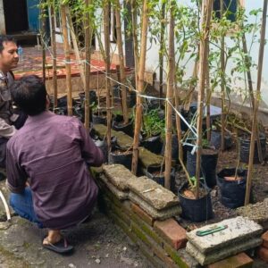 Polsek Labuapi Aktif Dukung Ketahanan Pangan dengan Kunjungan Rumah Produktif