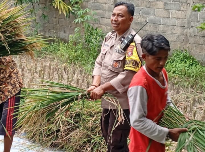 Bhabinkamtibmas Merembu Edukasi Warga Soal Ketahanan Pangan