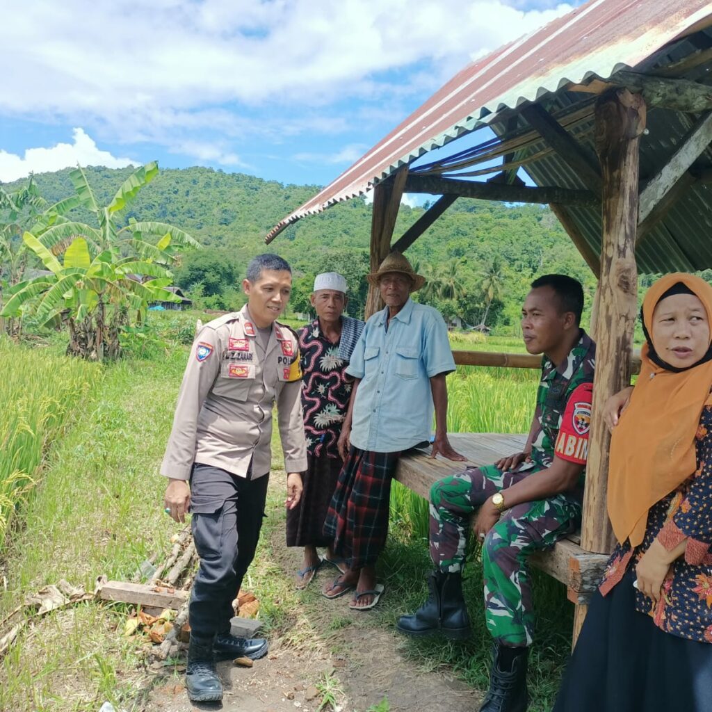 Sinergi Polri dan Petani, Wujudkan Ketahanan Pangan di Kuripan Selatan