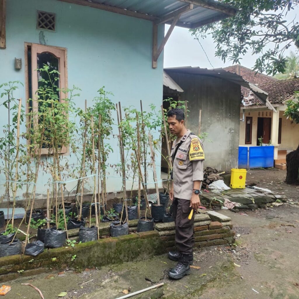 Pekarangan Jadi Sumber Pangan, Warga Bengkel Dapat Apresiasi