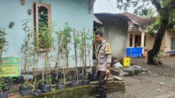 Pekarangan Jadi Sumber Pangan, Warga Bengkel Dapat Apresiasi