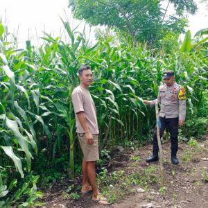 Polri Dukung Program Ketahanan Pangan Nasional di Desa Beringin Jaya