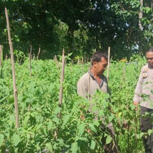 Bhabinkamtibmas Desa Sekongkang Bawah Lakukan Pendampingan Kegiatan Pengelolaan Pekarangan Pangan Bergizi