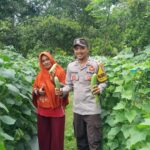 Bhabinkamtibmas Talonang Baru Ajak Kelompok Tani Wanita (KWT) Sebagai Pelopor Bertani Sayur dan Tanaman Bergizi