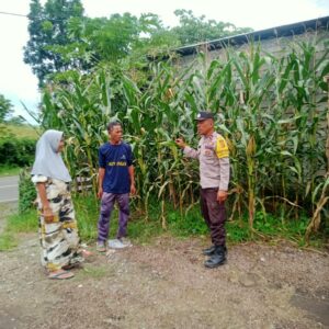 Bhabinkamtibmas Desa Woko Pantau Lahan Pertanian Warga untuk Program Ketahanan Pangan Nasional