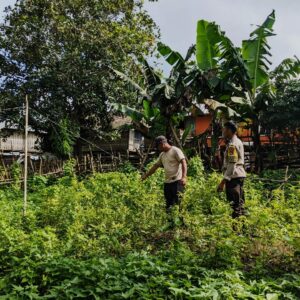 Bhabinkamtibmas Desa Mantar Kunjungi Warga Manfaatkan Pekarangan dengan Tanaman Bergizi