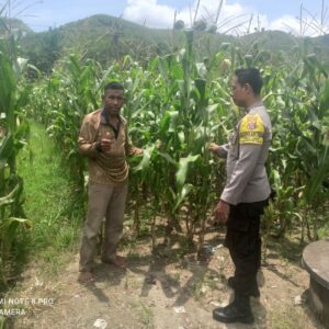 Bhabinkamtibmas Desa Jambu Dampingi Petani dalam Program Ketahanan Pangan Nasional
