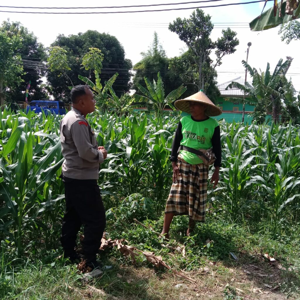 Bhabinkamtibmas Garda Depan Ketahanan Pangan di Lombok Barat