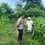 Bhabinkamtibmas Desa Hu’u Pantau Pengolahan Lahan Pertanian Warga untuk Dukung Ketahanan Pangan