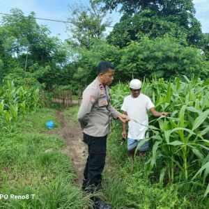 Bhabinkamtibmas Desa Hu’u Pantau Pengolahan Lahan Pertanian Warga untuk Dukung Ketahanan Pangan