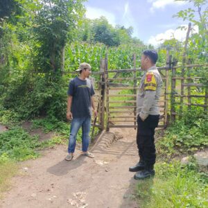 Bhabinkamtibmas Desa Karombo Pantau Lahan Jagung dalam Program Ketahanan Pangan Nasional