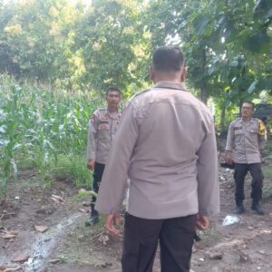 Kapolsek Jereweh Lakukan Pengecekan dan Pengawasan Ketahanan Pangan di Wilayah Hukumnya