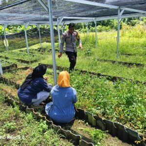 Polsek Hu’u lakukan pemantauan dan pendampingan pertanian warga guna mendukung ketahanan pangan nasional
