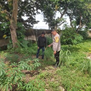 Bhabinkamtibmas di Labuapi Dorong Ketahanan Pangan, Warga Lombok Barat Antusias