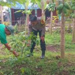 Bhabinkamtibmas Desa Mantang Polsek Batukliang Gencar Kampanyekan Pekarangan Bergizi di Masyarakat Binaan