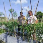 Bhabinkamtibmas Desa Gemel Polsek Jonggat Sambangi Lahan Warga Binaan Dukung Ketahanan Pangan