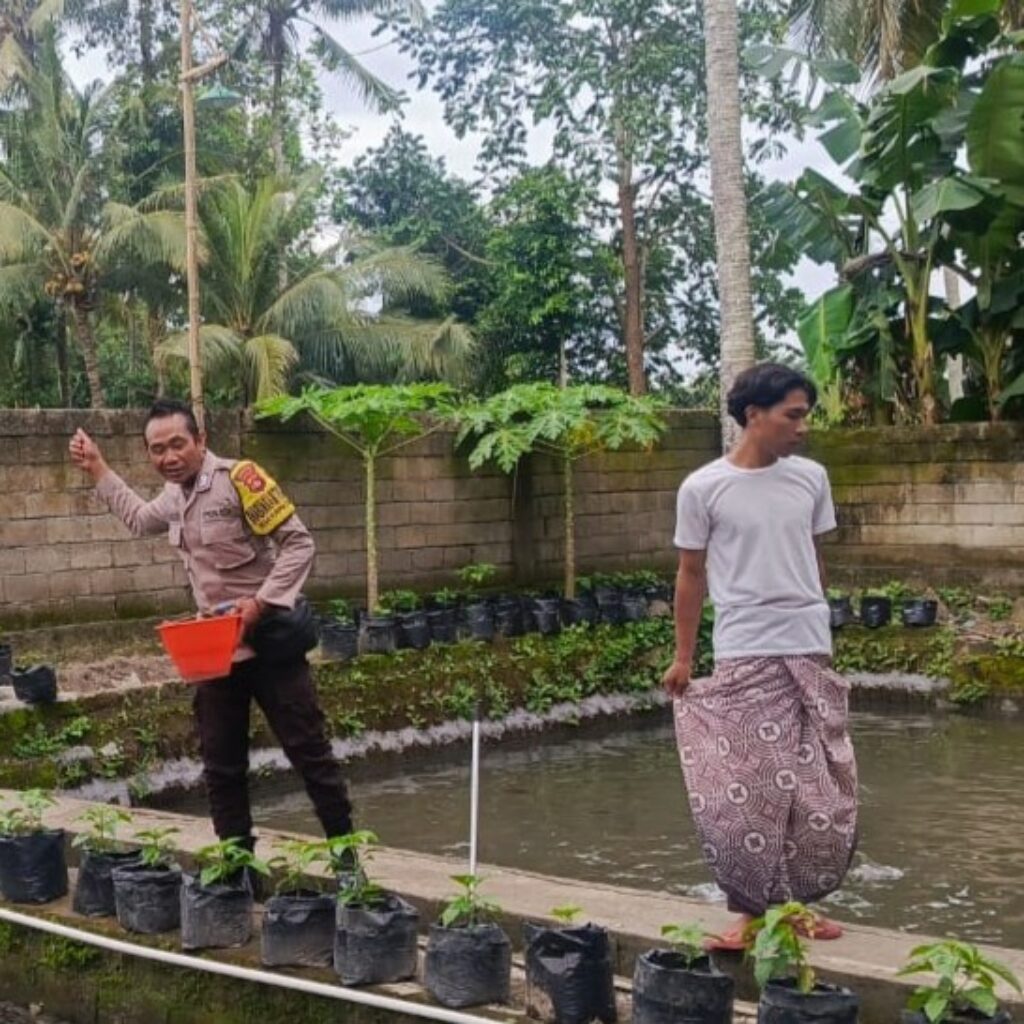 Ketahanan Pangan Kuripan: Bukti Nyata Bakti Bhabinkamtibmas