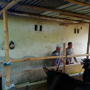 Kapolsek Labuapi Ajak Warga Beternak Sapi, Solusi Ekonomi di Pekarangan
