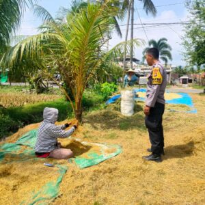 Bhabinkamtibmas Dukung Petani Eyat Mayang, Panen Maksimal!