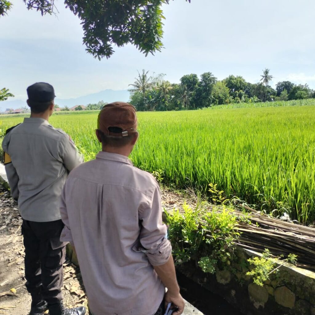 Sinergi Polri dan Petani: Wujudkan Ketahanan Pangan di Labuapi