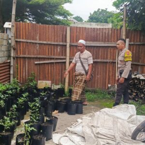 Edukasi Ketahanan Pangan, Langkah Nyata Bhabinkamtibmas di Desa