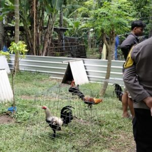 Polsek Batulayar: Garda Terdepan Keamanan Lombok Barat