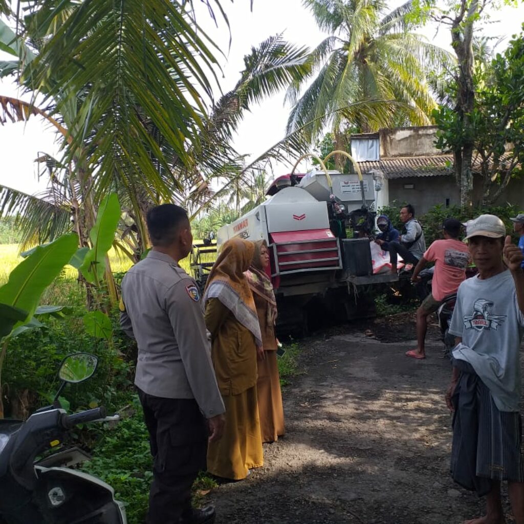 Sinergi Petani dan Polisi, Lombok Barat Raih Swasembada Pangan