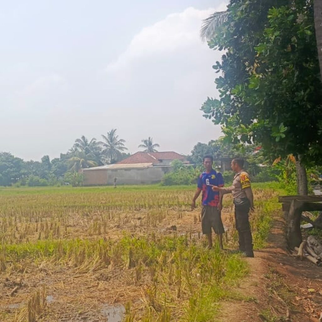 Polsek Kuripan Lombok Barat Edukasi Petani Soal Swasembada Pangan, Apa Hasilnya