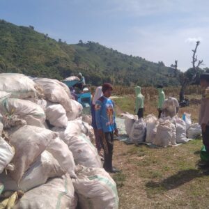 Bhabinkamtibmas Desa Mumbu Pantau Panen Raya Jagung, Dukung Program Ketahanan Pangan Nasional